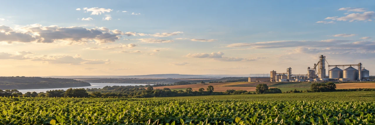 Paisaje agrícola con campos de soja, un río y silos de granos